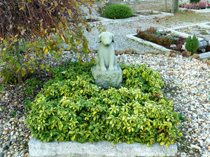 Bild vergrößern: Hundeskulptur auf einem mit grünen Stauden bedecktes Grab auf einem Friedhof.